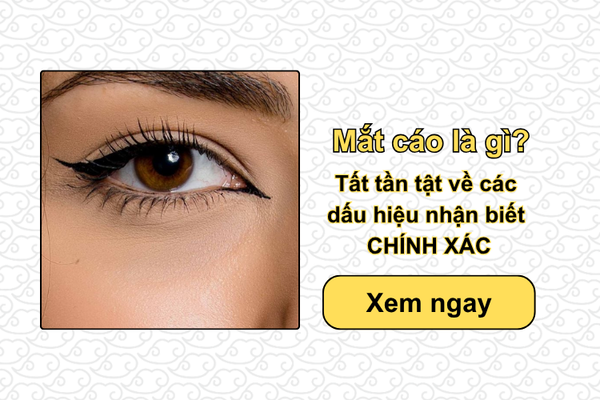 Mắt cáo là gì? Tất tần tật về các dấu hiệu nhận biết CHÍNH XÁC
