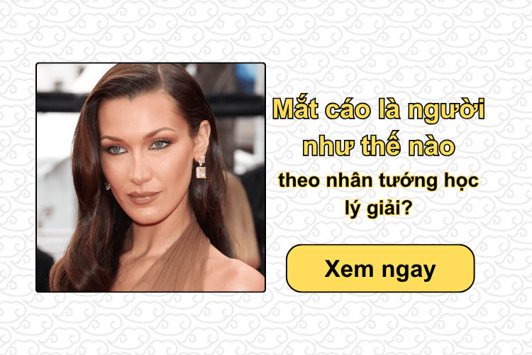 Mắt cáo là người như thế nào theo nhân tướng học lý giải?