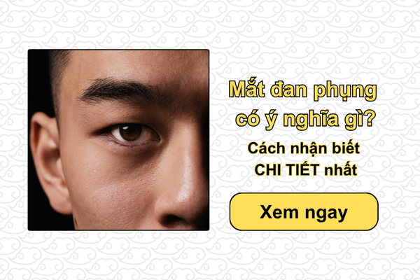 Mắt đan phụng có ý nghĩa gì? Cách nhận biết CHI TIẾT nhất