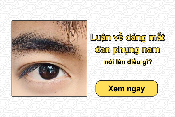 Luận về dáng mắt đan phụng nam nói lên điều gì?