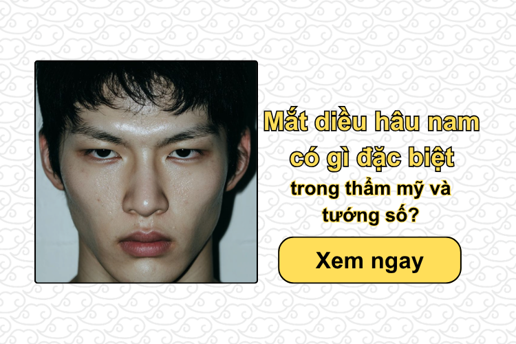 Mắt diều hâu nam có gì đặc biệt trong thẩm mỹ và tướng số?