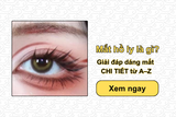 Mắt hồ ly là gì? Giải đáp dáng mắt CHI TIẾT từ A–Z