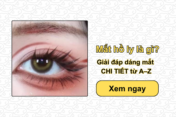 Mắt hồ ly là gì? Giải đáp dáng mắt CHI TIẾT từ A–Z