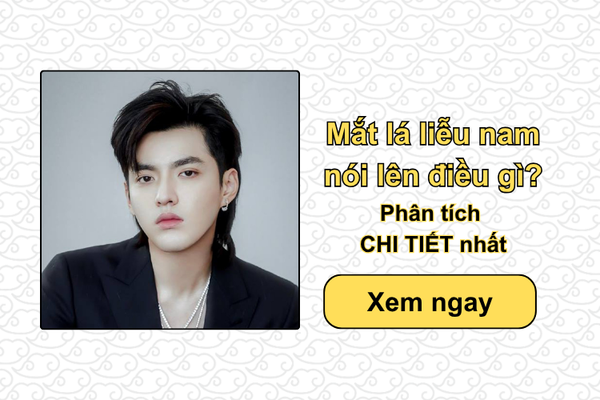 Mắt lá liễu nam nói lên điều gì? Phân tích CHI TIẾT nhất
