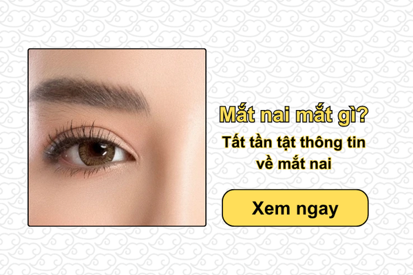Mắt nai mắt gì? Tất tần tật thông tin về mắt nai