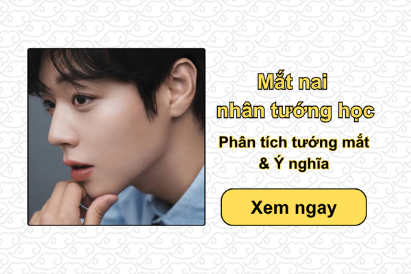 Mắt nai nhân tướng học: Phân tích tướng mắt & Ý nghĩa