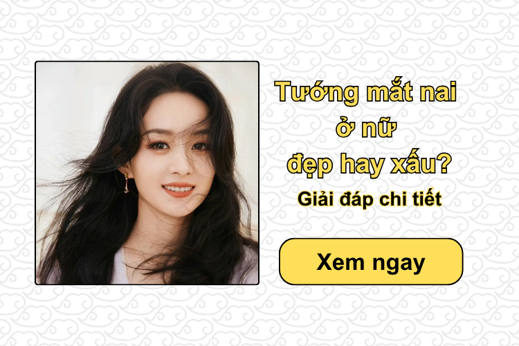 Tướng mắt nai ở nữ đẹp hay xấu? Giải đáp chi tiết