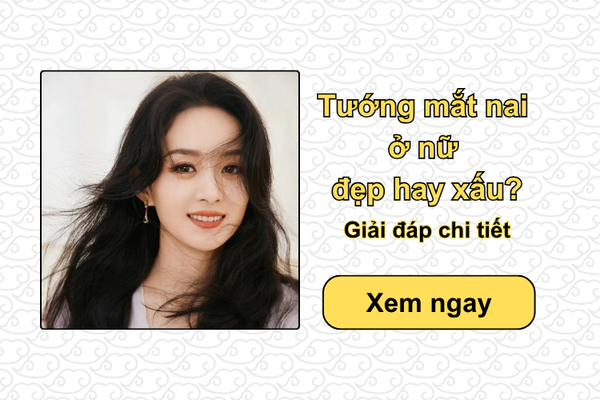 Tướng mắt nai ở nữ đẹp hay xấu? Giải đáp chi tiết