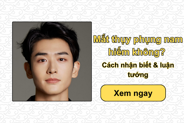 Mắt thụy phụng nam hiếm không? Cách nhận biết & luận tướng