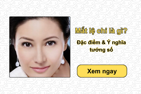 Mắt lệ chi là gì? Đặc điểm & Ý nghĩa tướng số