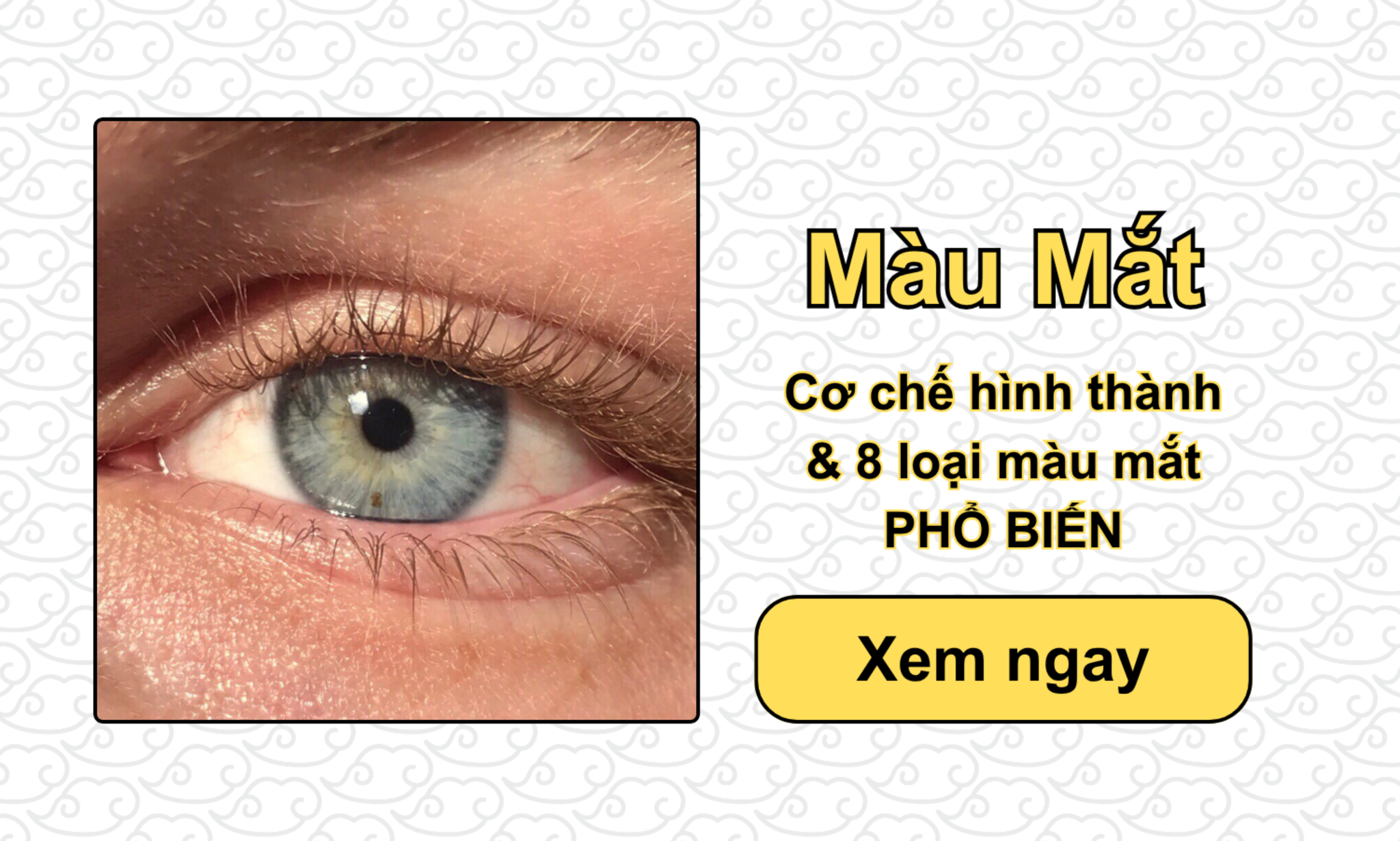 Màu Mắt: Cơ chế hình thành & 8 loại màu mắt PHỔ BIẾN
