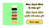 Màu Xanh Mint là màu gì? Màu Xanh Mint phối với màu gì?
