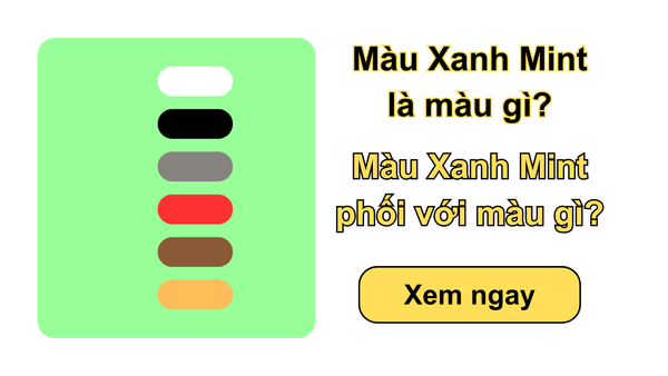 Màu Xanh Mint là màu gì? Màu Xanh Mint phối với màu gì?