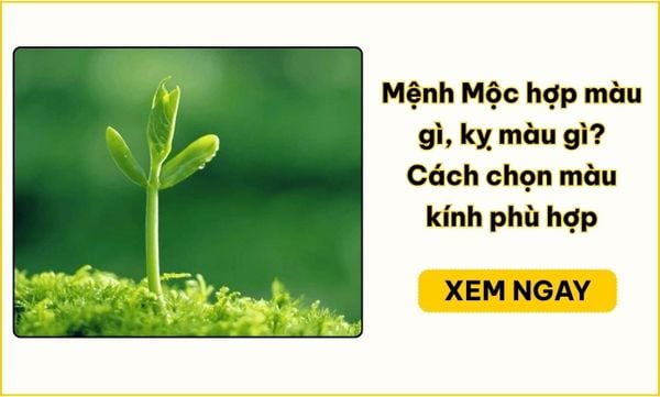 Mệnh Mộc hợp màu gì, kỵ màu gì? Bảng năm sinh và chọn kính