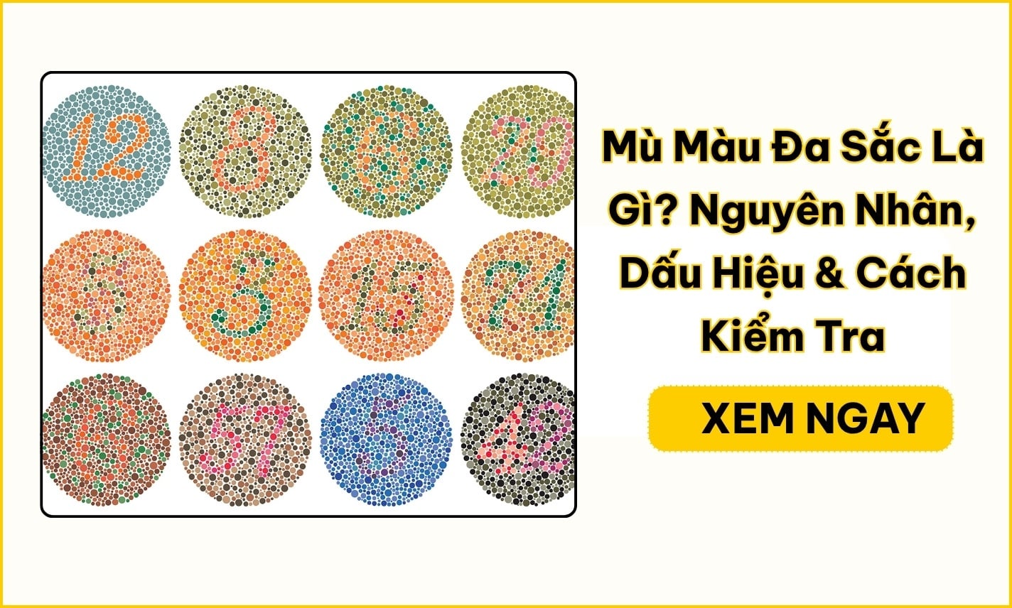 Mù Màu Đa Sắc Là Gì? Nguyên Nhân, Dấu Hiệu & Cách Kiểm Tra