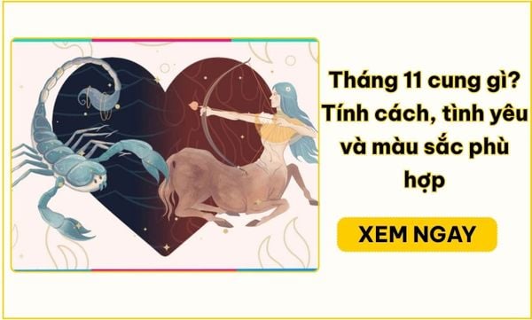 Tháng 11 cung gì? Bọ Cạp, Nhân Mã và ngày sinh 22/11