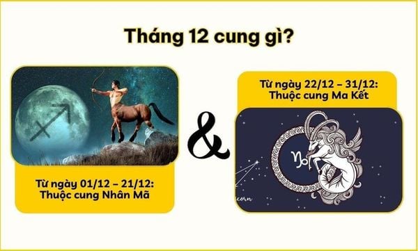 Tháng 12 cung gì? Nhân Mã, Ma Kết và ngày sinh 22/12