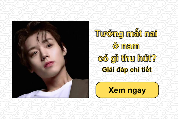 Tướng mắt nai ở nam có gì thu hút? Giải đáp chi tiết