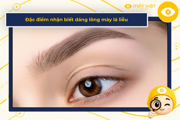 Đặc điểm nhận biết dáng lông mày lá liễu
