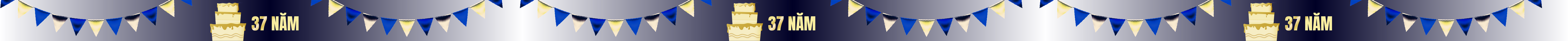 Sinh Nhật Mắt Việt 37 năm