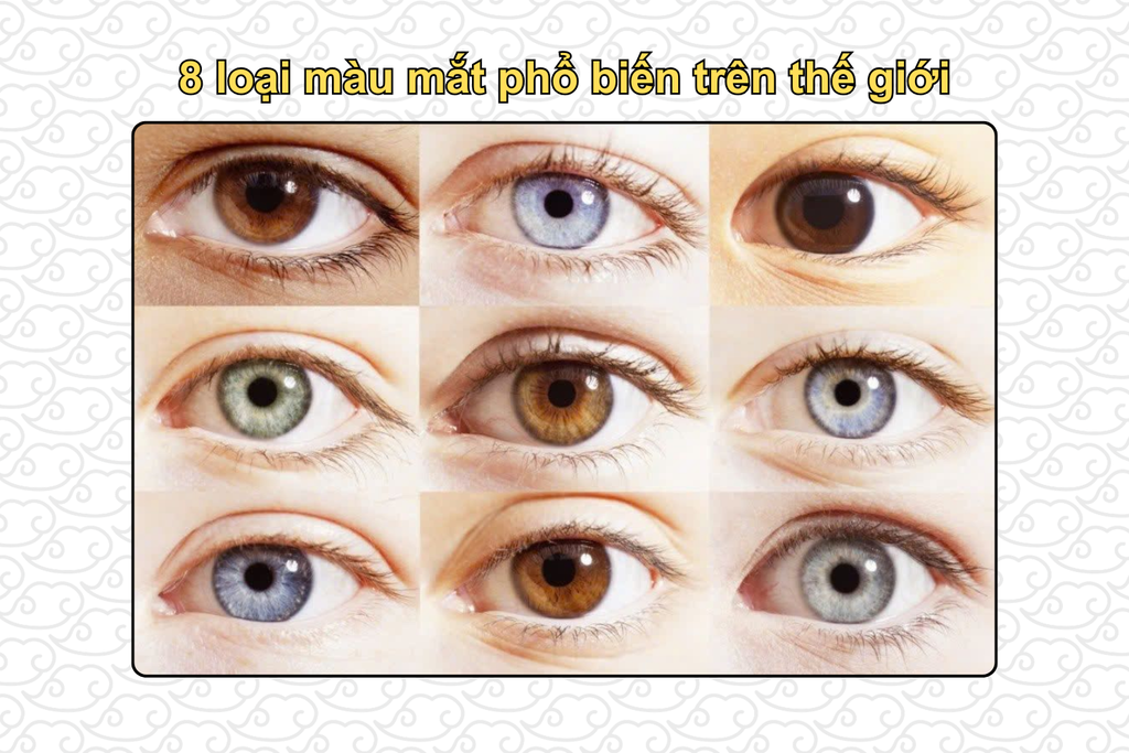8-loai-mau-mat-pho-bien-tren-the-gioi