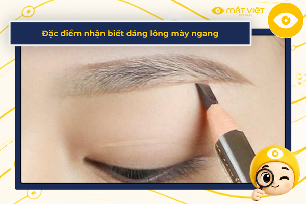 Đặc điểm nhận biết dáng lông mày ngang