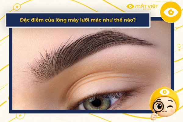 Đặc điểm của lông mày lưỡi mác như thế nào?