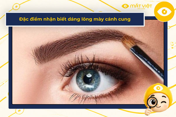 Đặc điểm nhận biết dáng lông mày cánh cung