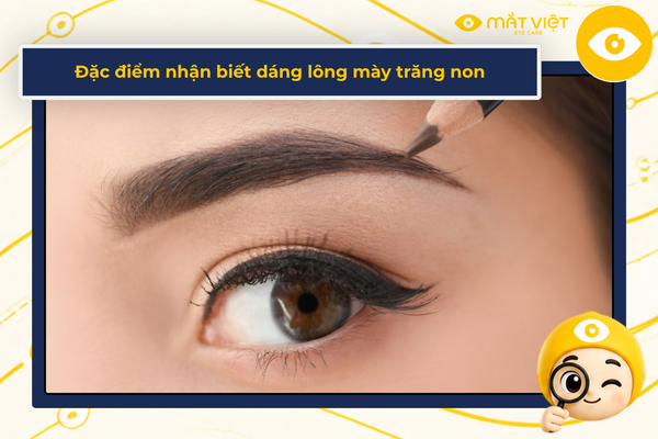Đặc điểm nhận biết dáng lông mày trăng non