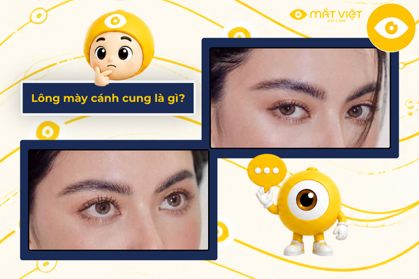Lông mày cánh cung là gì?