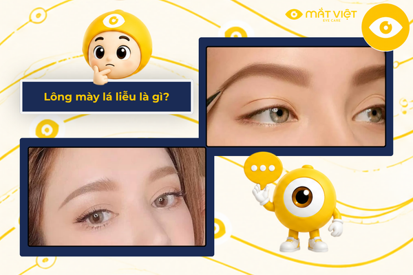 Lông mày lá liễu là gì?