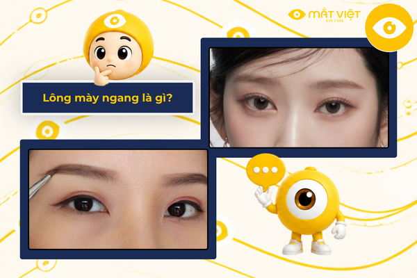 Lông mày ngang là gì?