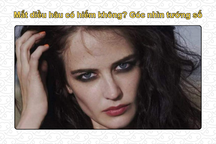 Mắt diều hâu có hiếm không? Góc nhìn tướng số