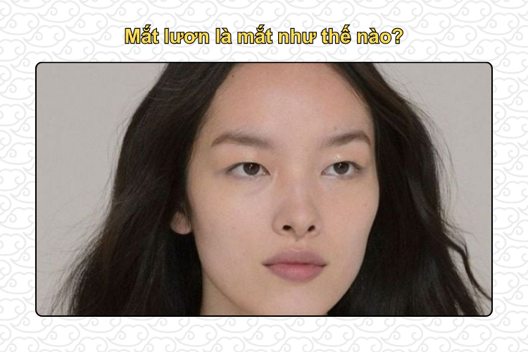 Mắt lươn là mắt như thế nào?