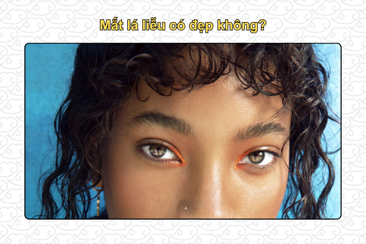 Mắt lá liễu có đẹp không?