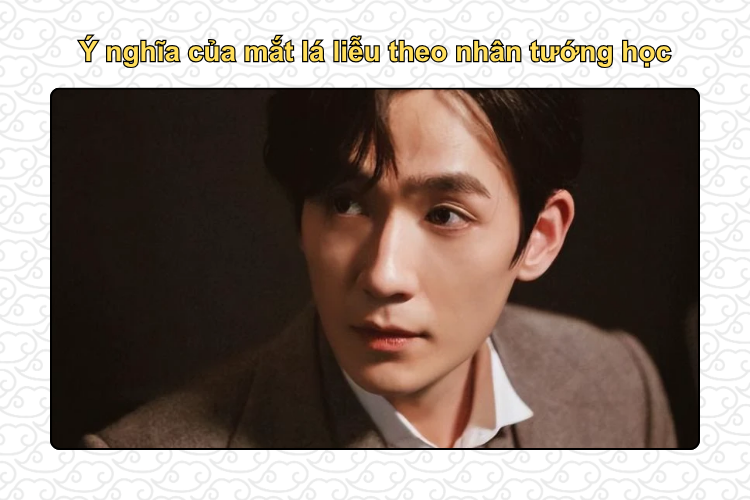 Ý nghĩa của mắt lá liễu theo nhân tướng học