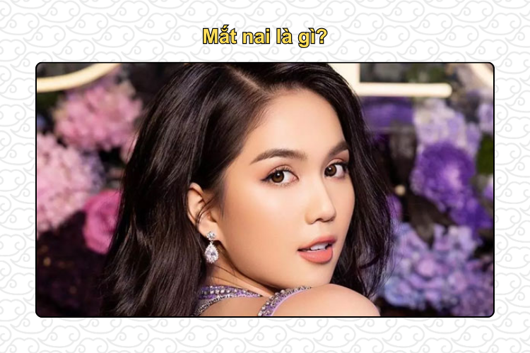 Mắt nai là gì?