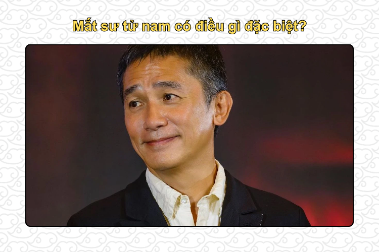 Mắt sư tử nam có điều gì đặc biệt?