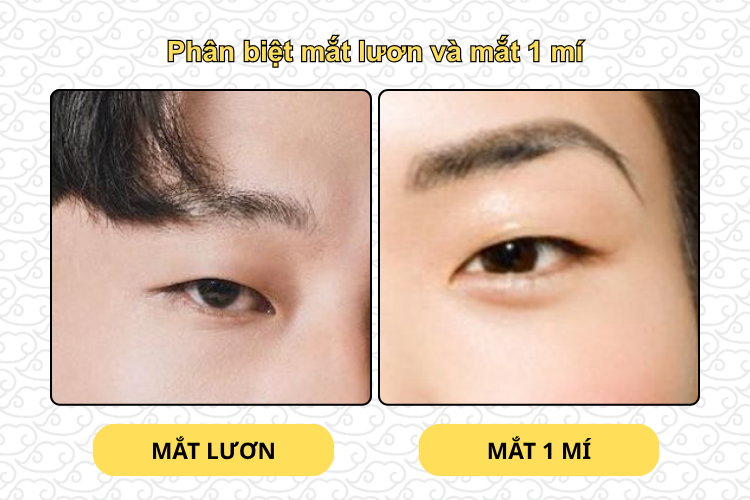 Phân biệt mắt lươn và mắt 1 mí