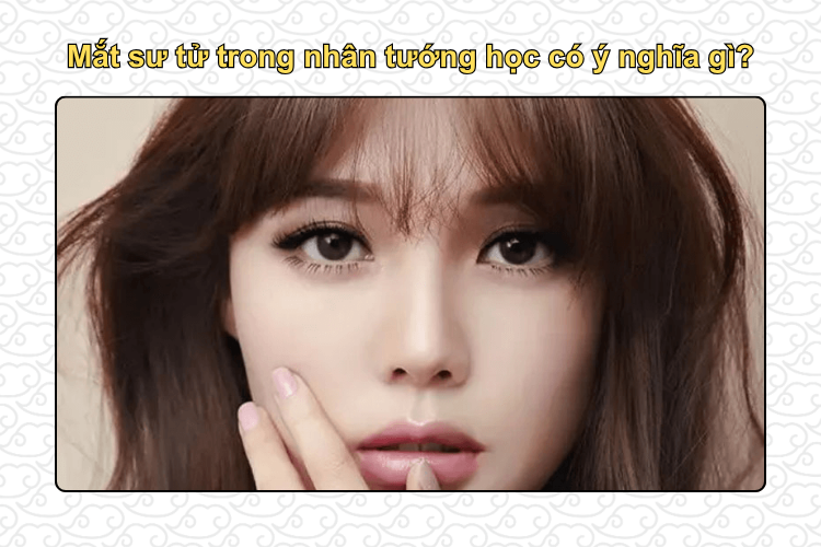 Mắt sư tử trong nhân tướng học có ý nghĩa gì?