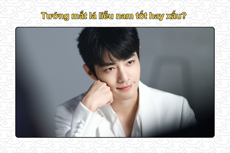 Tướng mắt lá liễu nam tốt hay xấu?