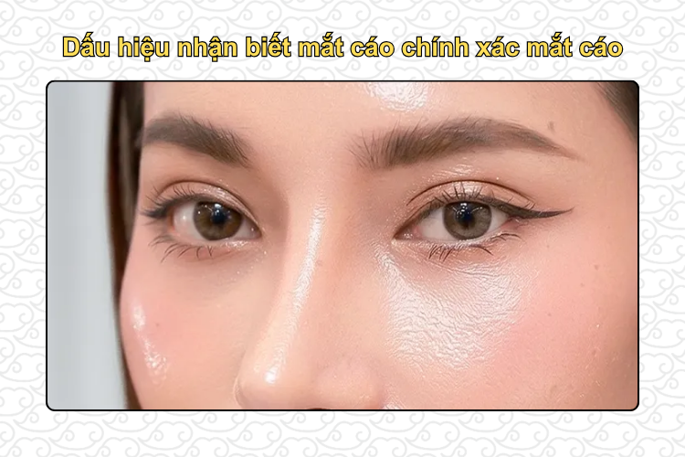 Dấu hiệu nhận biết mắt cáo chính xác mắt cáo