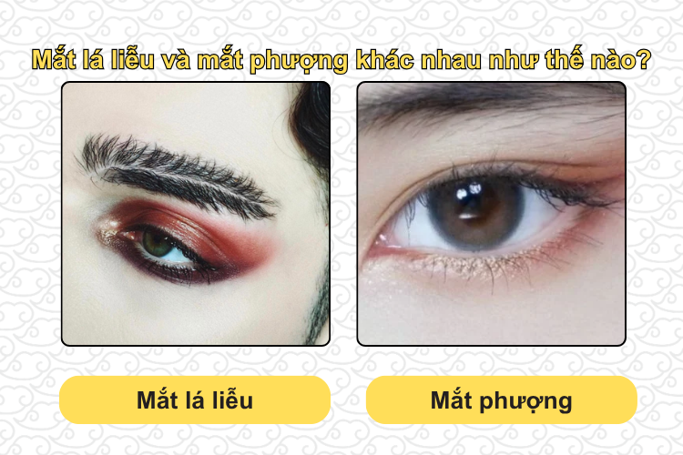 Mắt lá liễu và mắt phượng khác nhau như thế nào?
