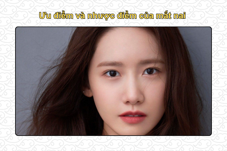 Ưu điểm và nhược điểm của mắt nai