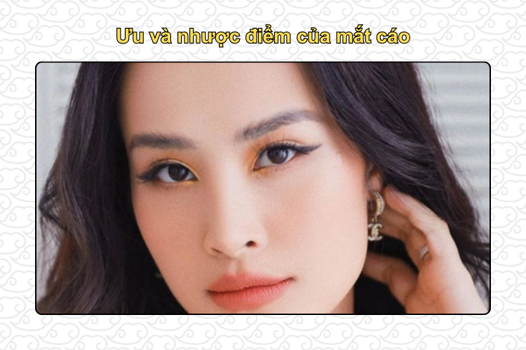 Ưu và nhược điểm của mắt cáo