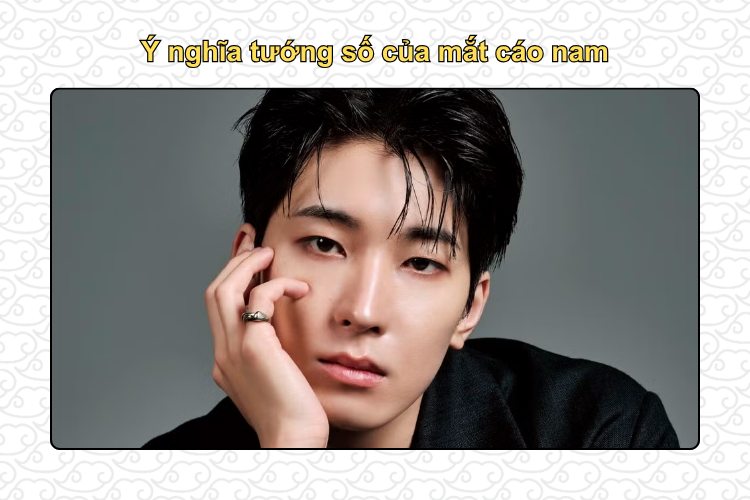 Ý nghĩa tướng số của mắt cáo nam