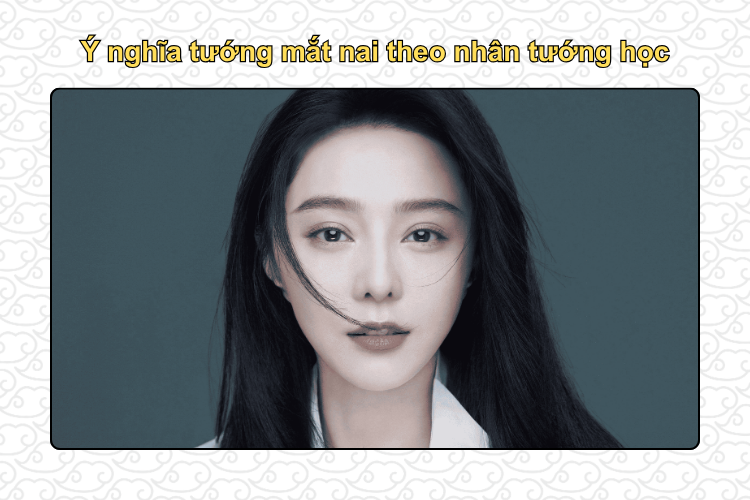 Ý nghĩa tướng mắt nai theo nhân tướng học