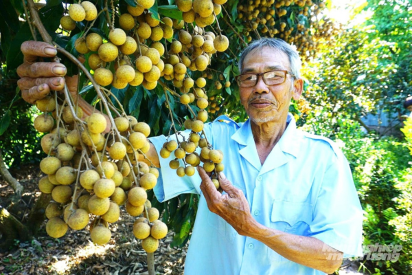 Đồng Tháp phát huy sức mạnh kinh tế tập thể trong tái cơ cấu nông nghiệp