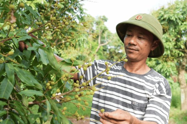 Nâng tầm nông sản từ những mô hình trang trại bền vững