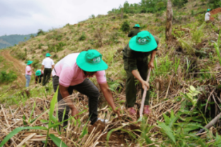 C.P. Việt Nam: Hành trình xanh vun đắp nền nông nghiệp bền vững
